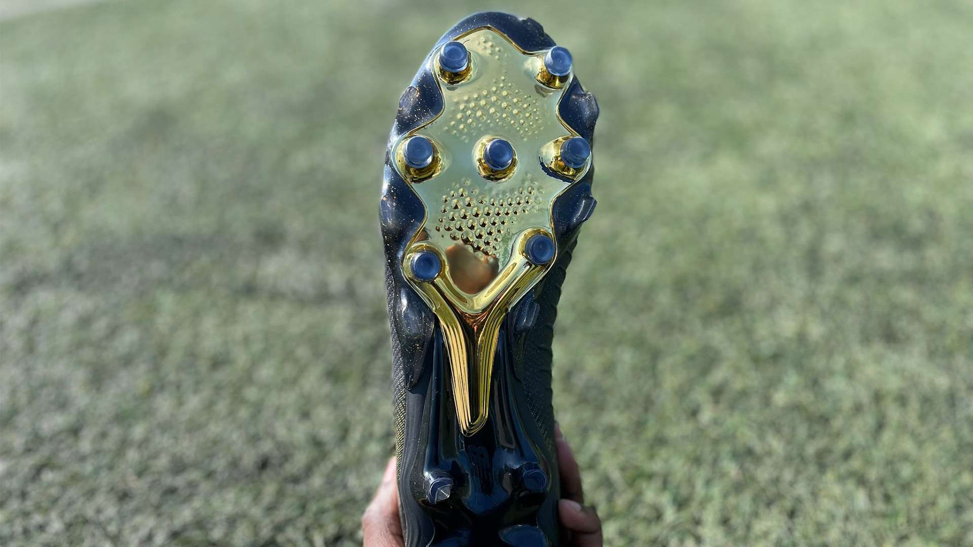 欢呼声此起 欢呼声此起